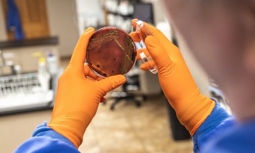 Safe Foods Partners with Category 3 Processing Plant to Address Salmonella Threat